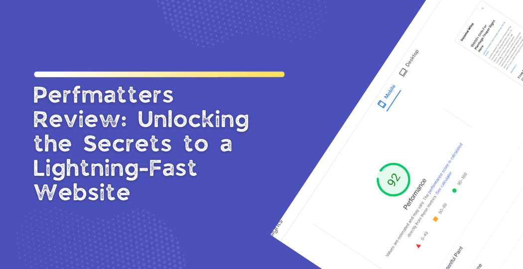 Perfmatters Plugin Review