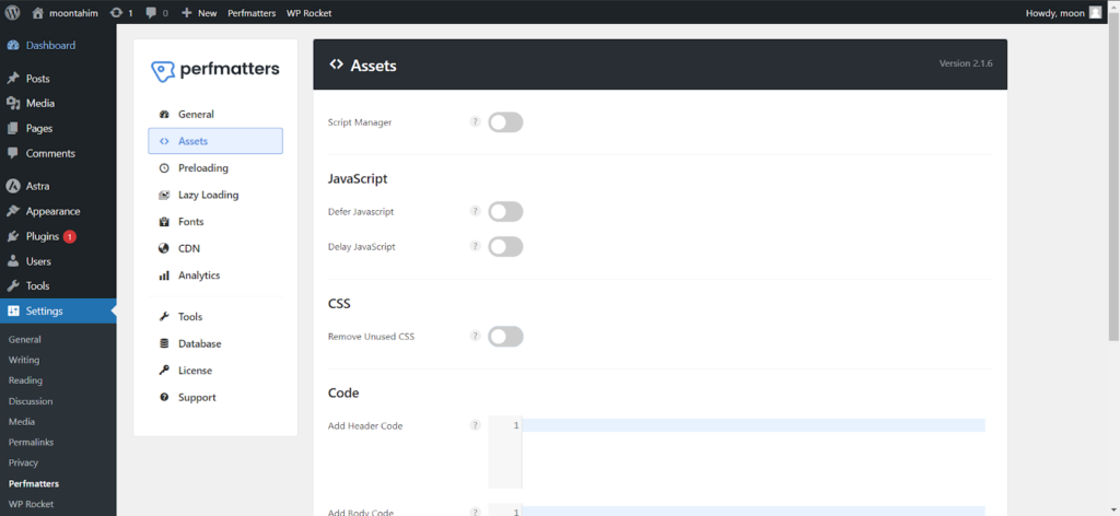 Perfmatters assets manager