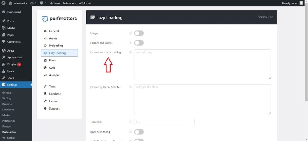 Exclude from lazy loading option