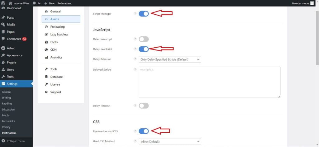 Perfmatters asset section