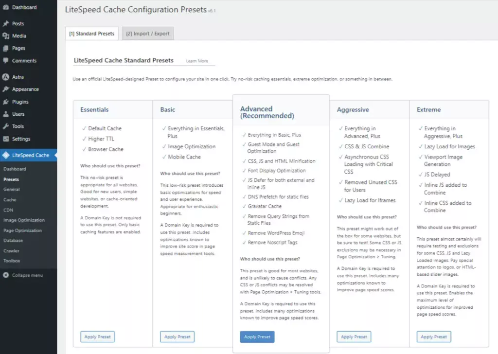 Light Speed Cache Plugin's Presets