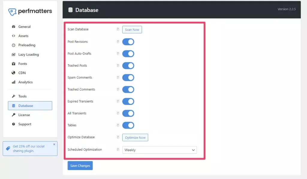 Perfmatters Database Cleaning Feature